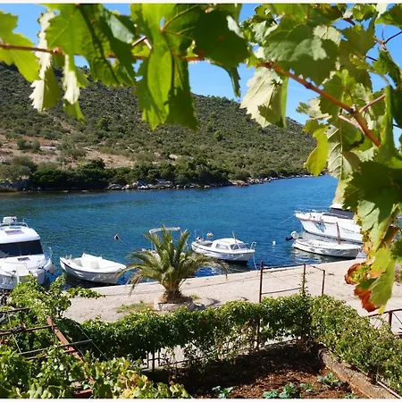 Andi Apartamento Podglavica