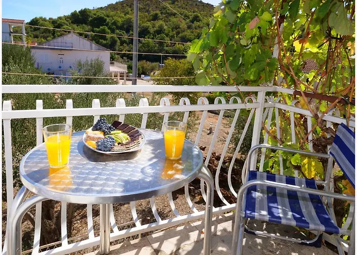 Andi Appartement Podglavica