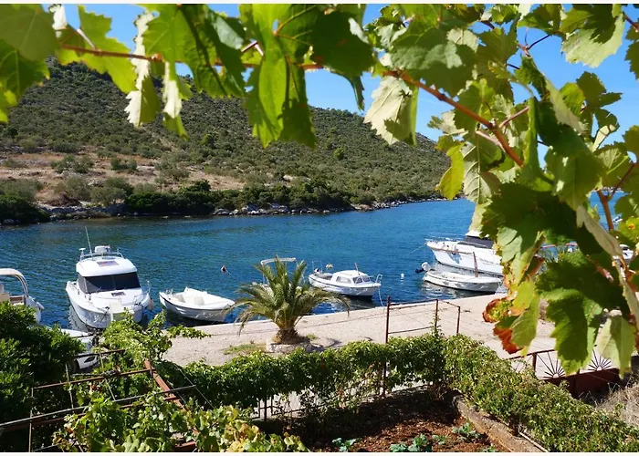 Andi Apartamento Podglavica